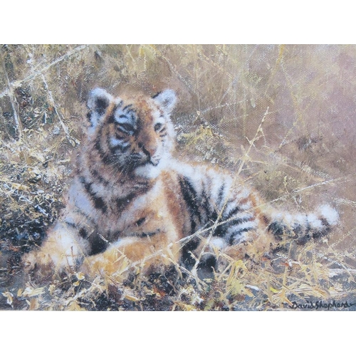 1269 - DAVID SHEPHERD - TWO TIGER PRINTS - ONE FRAMED, SIGNED IN PENCIL - LARGEST 11CM X 16CM