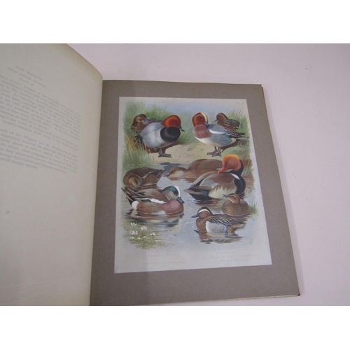 1305 - BOOK - BRITISH BIRDS BY A THORBURN, VOLUME III 1916; SUPLIMENTARY PART DATED 1918