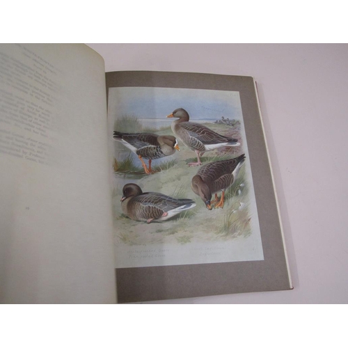 1305 - BOOK - BRITISH BIRDS BY A THORBURN, VOLUME III 1916; SUPLIMENTARY PART DATED 1918