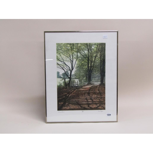 1224 - MARK SPAIN - LIMITED EDITION PRINT, AUTUMN BEECH, F/G, 47CM X 32CM