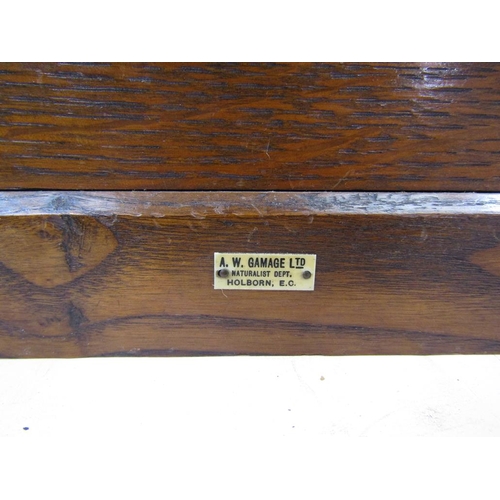 1355 - A.W. GAMAGE LTD OAK TABLE TOP CABINET OF SIX LONG DRAWERS, 43CM H