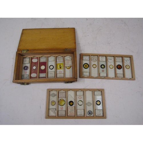 1458 - CASED SET OF EARLY 20C MICROSCOPIC SLIDES, 23CM W