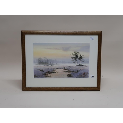 1258 - STEPHEN FOSTER - WINTER TIME RIVER MEADOW, SIGNED, F/G, 28CM X 43CM