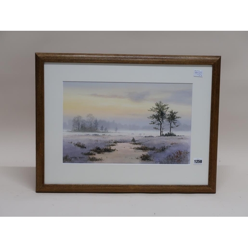 1258 - STEPHEN FOSTER - WINTER TIME RIVER MEADOW, SIGNED, F/G, 28CM X 43CM