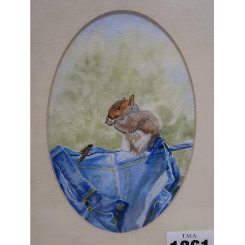 1261 - RUTH COX - THREE F/G WATERCOLOURS, VARIOUS SUBJECTS TO INCL SQUIRREL