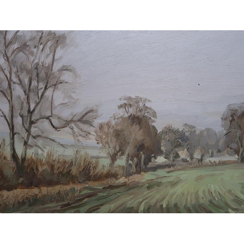 1279 - BRIAN BENNETT SIGNED IN MONO - FIELDS AND HEDGEROW, OIL ON BOARD, FRAMED, 24CM X 39CM