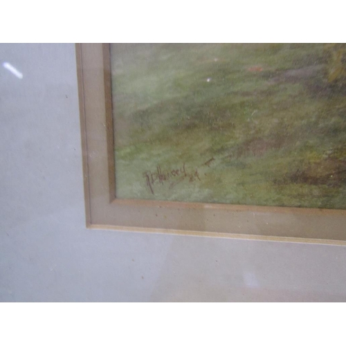 44 - COLLECTION OF FRAMED WATERCOLOURS