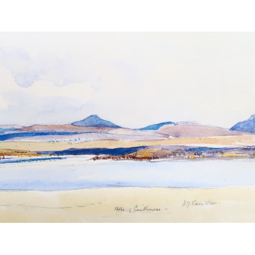 Lot 1310      