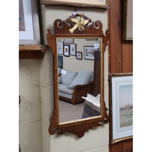 Lot 1339      