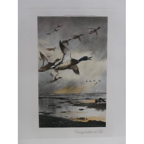 1364 - ARCHIBALD THORBURN 1905 - COMING IN FROM SEA, COLOURED PRINT, F/G