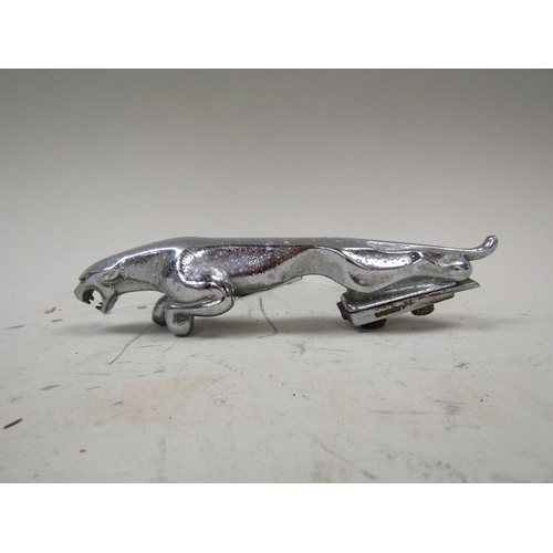1568 - JAGUAR CAR MASCOT, 19CM L