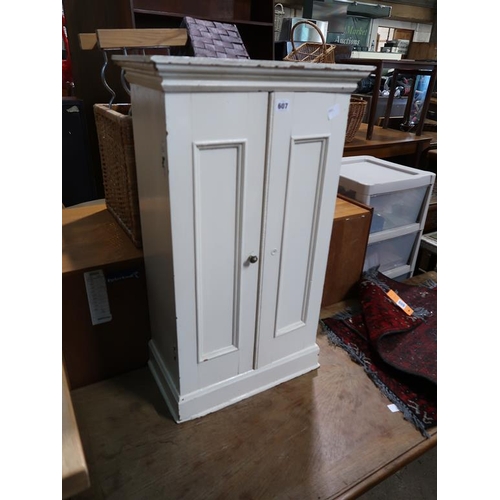 607 - PAINTED CUPBOARD