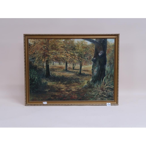 1360 - M M TACHON - AUTUMN PARKLAND SETTING, SIGNED OIL ON BOARD, FRAMED, 49CM X 67CM