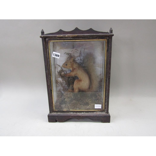 1369 - CASED TAXIDERMY SQUIRREL, CASE 42CM H