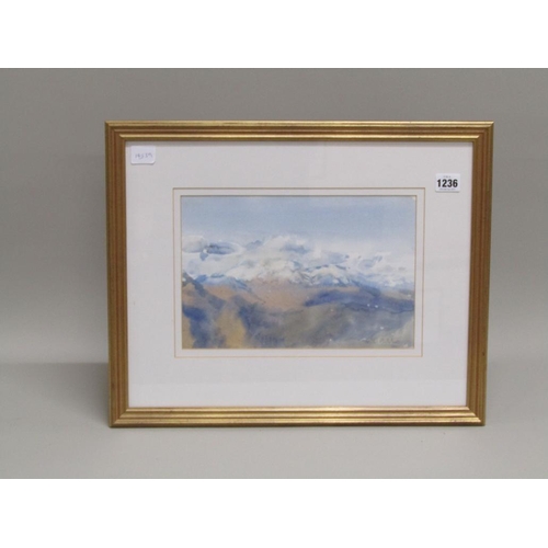 Lot 1236      