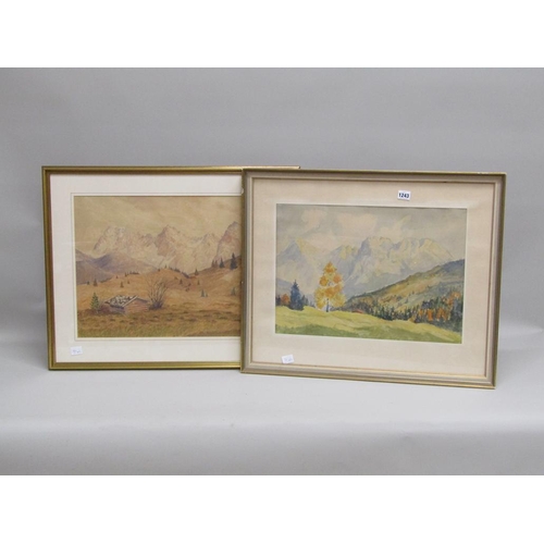 Lot 1243      