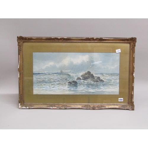 Lot 1255      