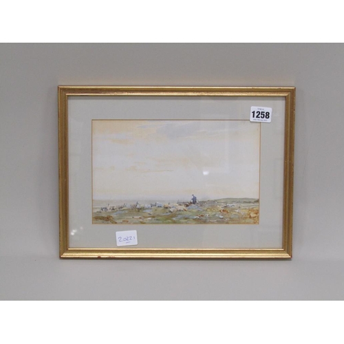 Lot 1258      