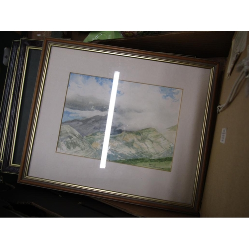 480 - BOX OF PICTURES AND PRINTS