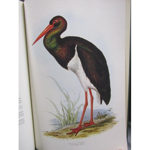 1218 - BOOK - BIRDS OF EDWARD LEAR.  A SELECTION OF THE 12 FINEST BIRD PLATES OF THE ARTIST, EDITED AND INT... 