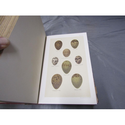 116 - TWO BOOKS ON BIRDS