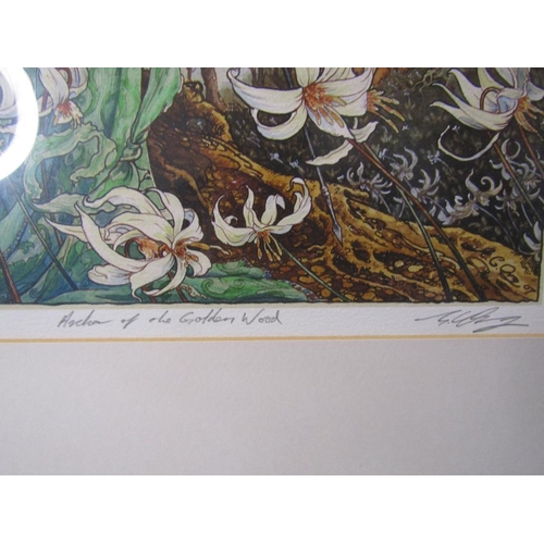 28 - SIGNED LTD EDITION COLOURED PRINT - ARCHER OF THE GOLDEN WOOD