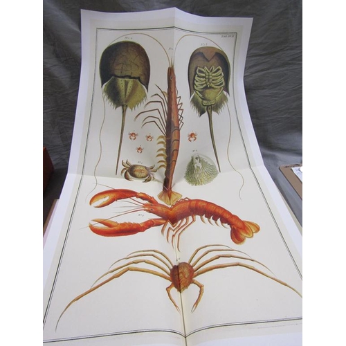 CABINET OF NATURAL CURIOSITIES ALBERTUS SEBA 3822816000, IN ...