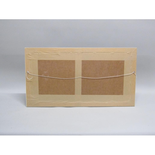 1104 - FRAMED COLOURED DOYLY JOHN PRINT