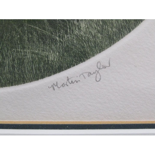 1119 - MARTIN TAYLOR - PAIR OF F/G LIMITED COLOURED CIRCULAR PRINTS, SPRING & SUMMER