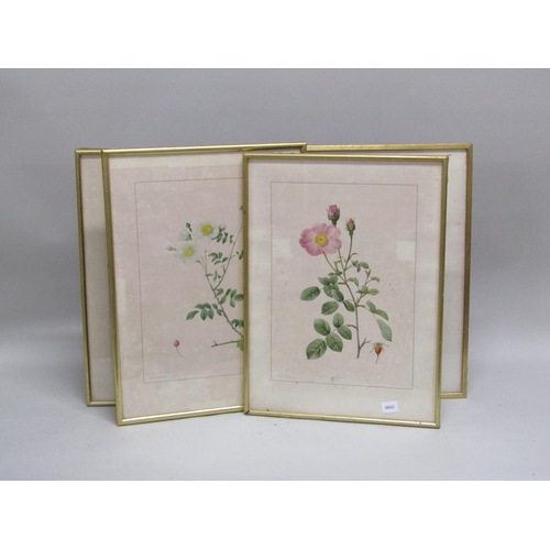 1129 - FIVE F/G COLOURED PRINTS - VARIOUS FLOWERS AND ROSES