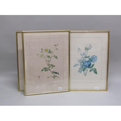 1129 - FIVE F/G COLOURED PRINTS - VARIOUS FLOWERS AND ROSES