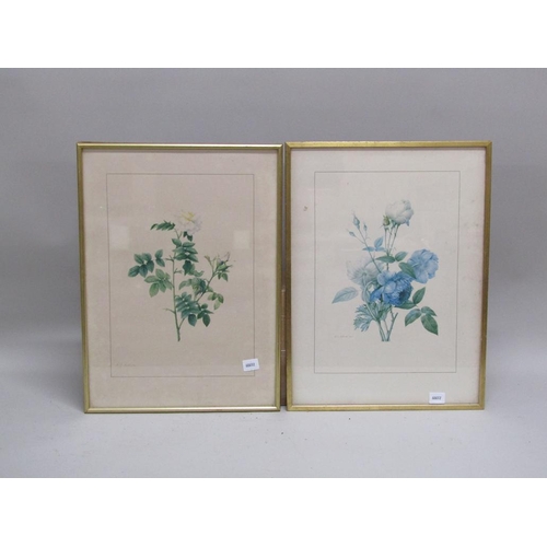 1129 - FIVE F/G COLOURED PRINTS - VARIOUS FLOWERS AND ROSES