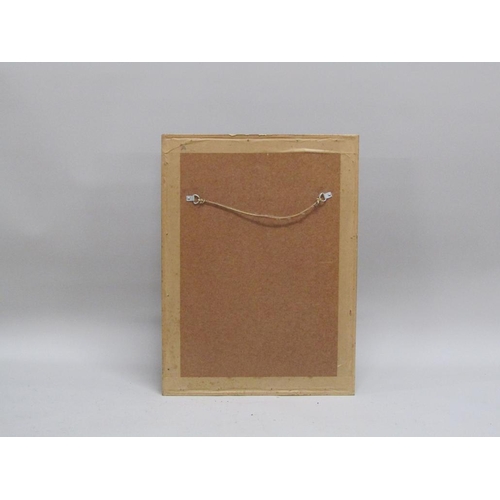 1129 - FIVE F/G COLOURED PRINTS - VARIOUS FLOWERS AND ROSES