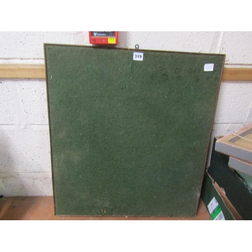 319 - NOTICE BOARD AND PICTURES