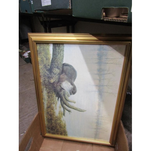 337 - BOX OF PICTURES AND PRINTS