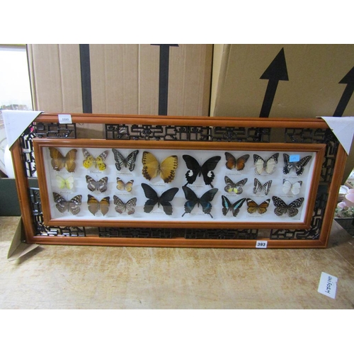 Lot 393       