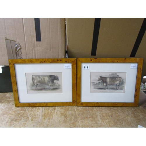 Lot 419       