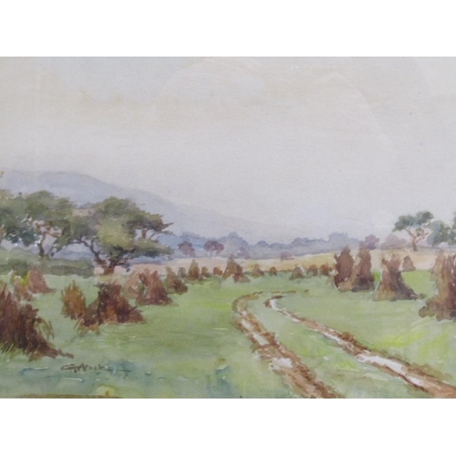 Lot 1263      