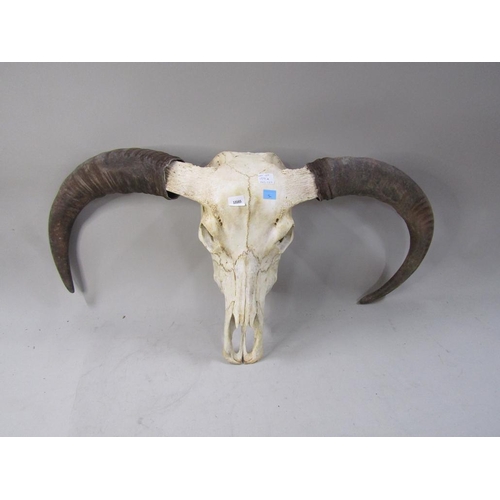 Lot 1291A     