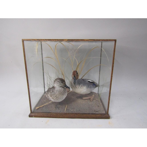Lot 1306      