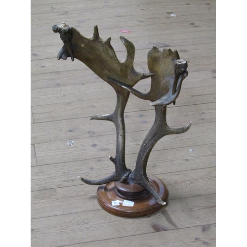 Lot 1303A     