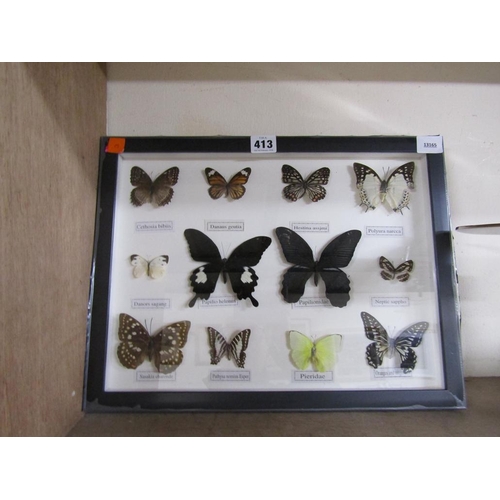 413 - REPRODUCTION BUTTERFLY DISPLAY