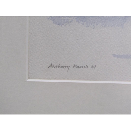 1200 - ANTHONY HARRIS - SERIES OF FOUR F/G FLORAL WATERCOLOURS, NAMED & SIGNED