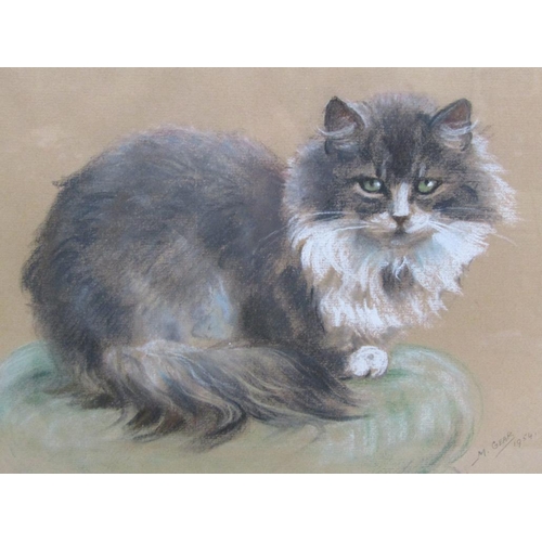 1210 - M GEAR - 'PANDA' & UN-NAMED CAT, SIGNED WATERCOLOUR, F/G