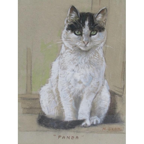 1210 - M GEAR - 'PANDA' & UN-NAMED CAT, SIGNED WATERCOLOUR, F/G