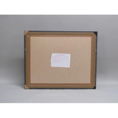 1225 - KAYE - FLOWER, COLOURED PRINT, F/G