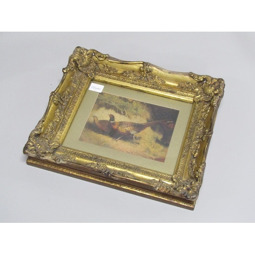 1227 - OELOGRAPH  - COCK AND HEN PHEASANT, F/G