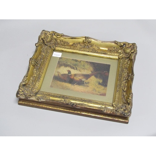 1227 - OELOGRAPH  - COCK AND HEN PHEASANT, F/G