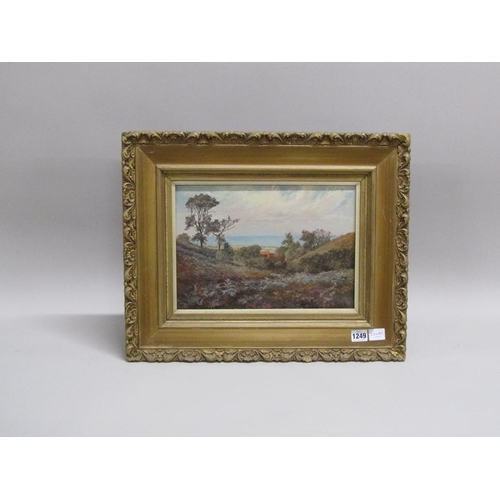 1249 - SIGNED INDISTINCTLY - SUMMER TIME LANDSCAPE WITH DISTANT SEA, OIL ON CANVAS, FRAMED