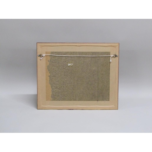 1255 - LONDON TO ST. NEOTS MOUNTED ROAD MAP - EDWARD LORD HITCHINBROKE, F/G